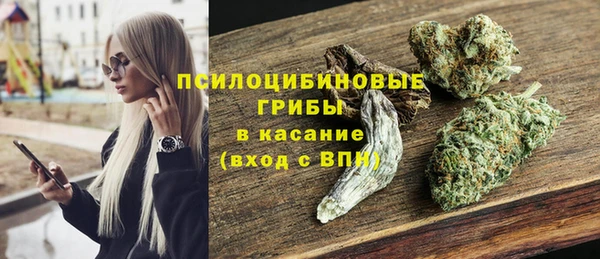 тгк Алзамай