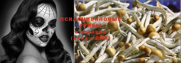 тгк Алзамай