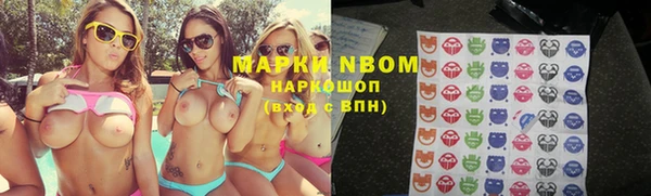 тгк Алзамай