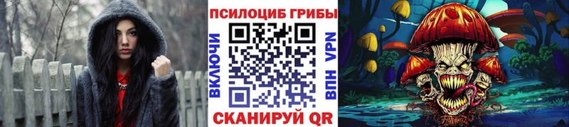 Псилоцибиновые грибы мухоморы  Карачаевск 